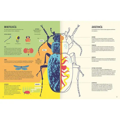 Libro Insectopedia