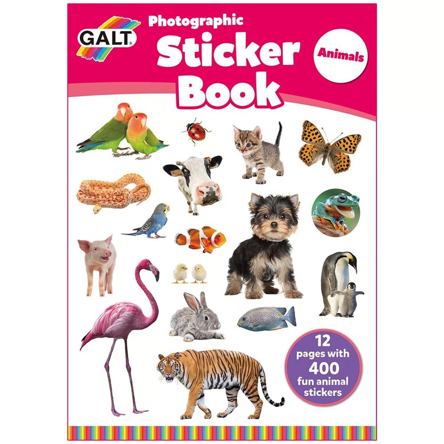 Photographic sticker book animals